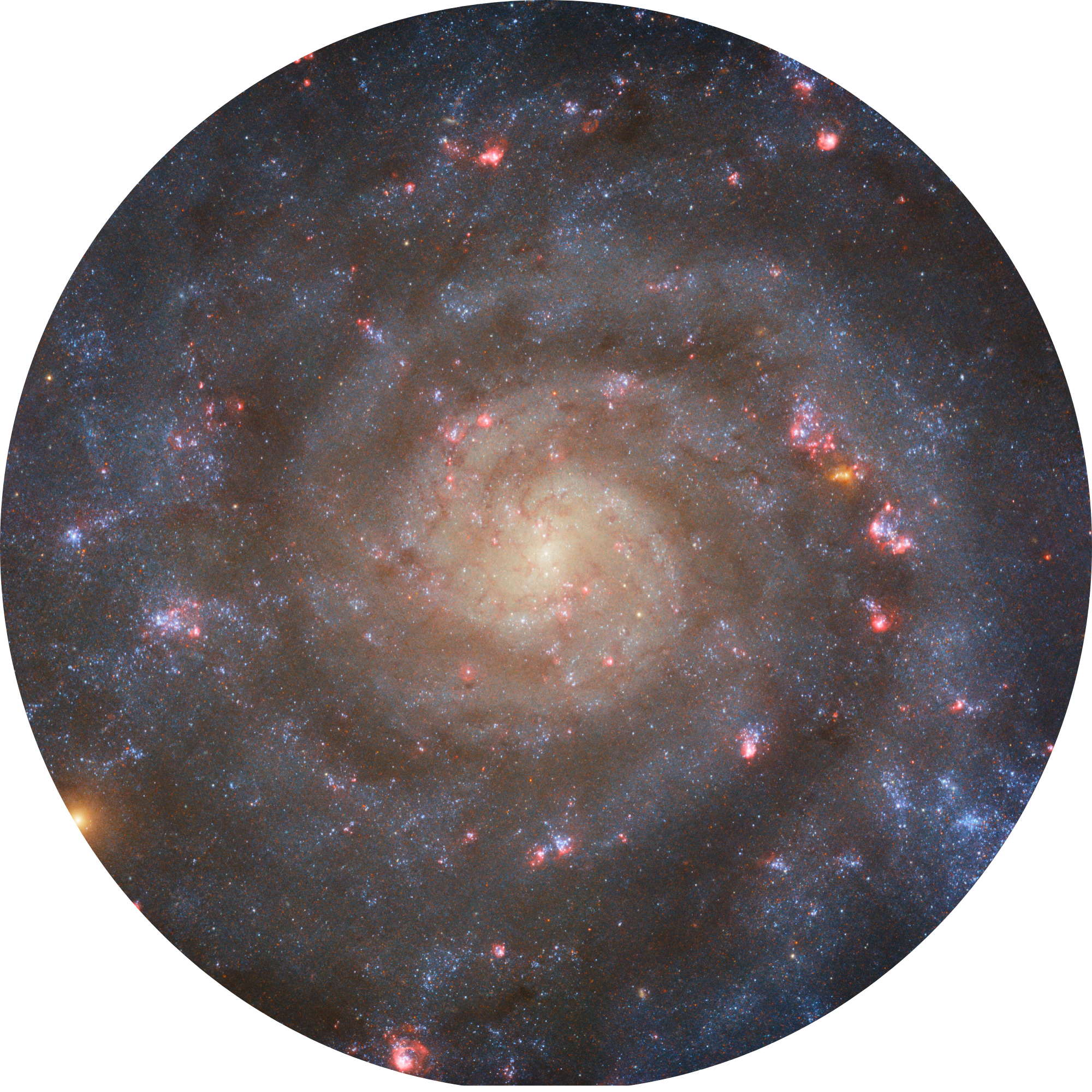 Alt Image