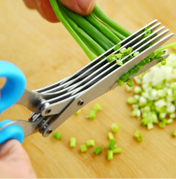 Stainless Steel Multi-Layer Kitchen Scissors for Spices and Herbs